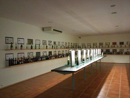 Museu Do Vinho Da Bairrada